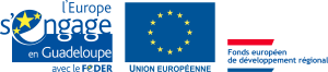 logo fonds europeen guadeloupe federv2